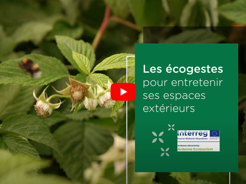 Les écogestes pour entretenir ses espaces extérieurs