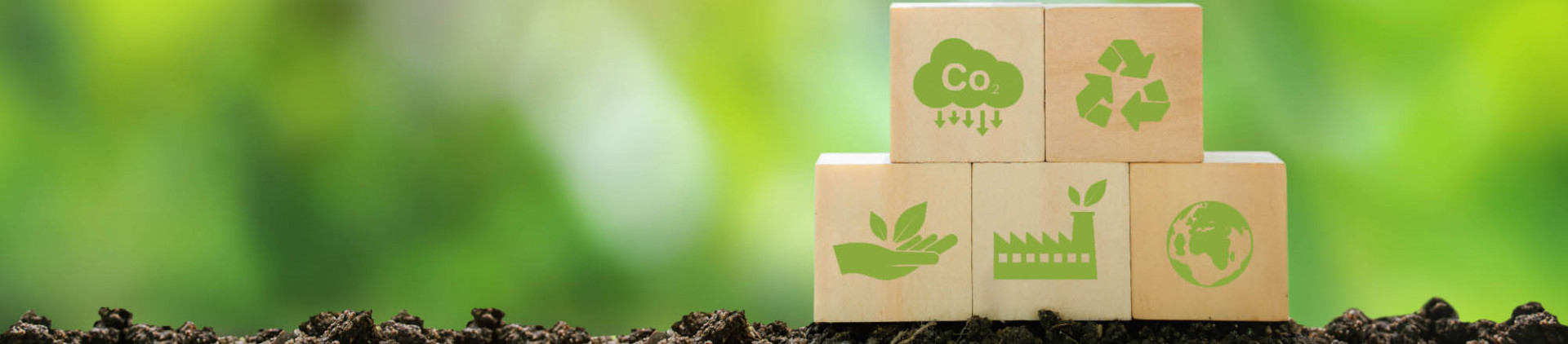 Trophées du tourisme durable