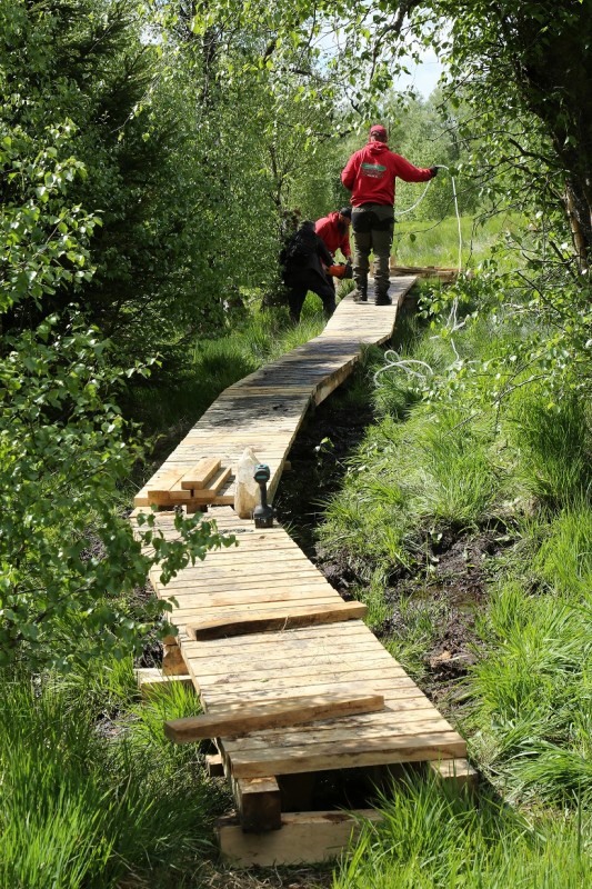 Réparation de caillebotis vallée de la Helle 01 ©FTPL P Fagnoul