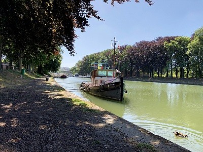 La balade des cerisiers © LEM - Audrey Köttgen