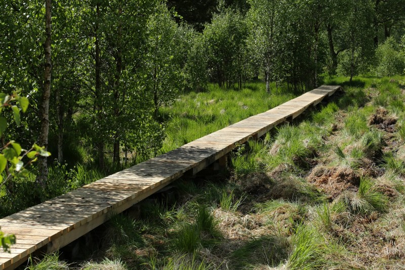 Nouveaux caillebotis vallée de la Helle 01 ©FTPL P Fagnoul