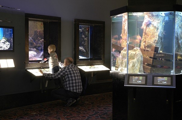 Aquarium-Museum © FTPL Mfred DODET