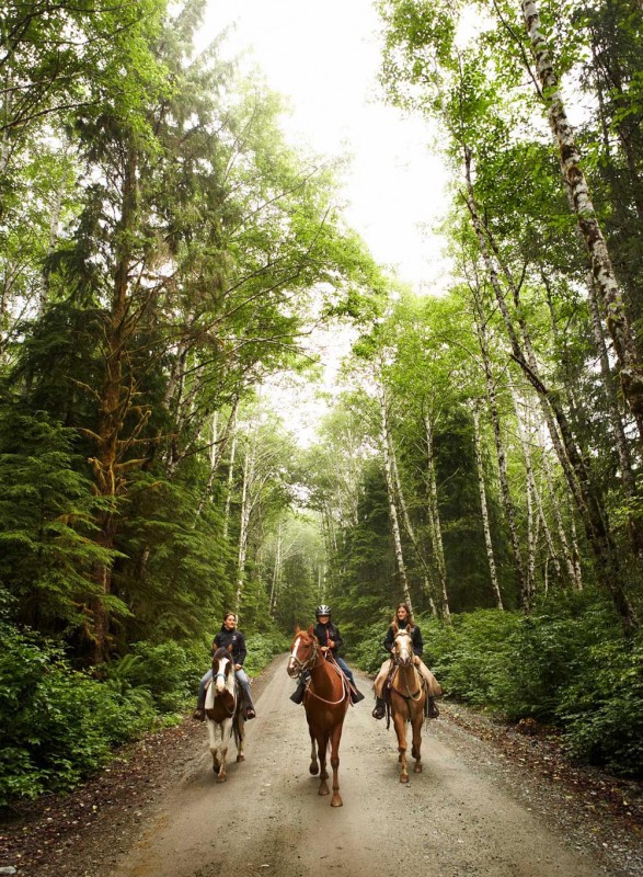 Balade à cheval dans les bois