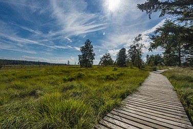 Les Hautes-Fagnes ©JM Léonard