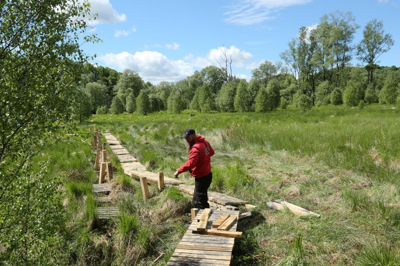 Rénovation des caillebotis dans les Hautes Fagnes