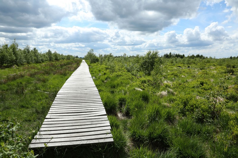 Rénovation des caillebotis dans les Hautes Fagnes