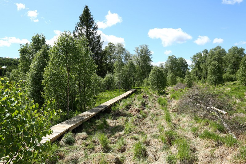 Rénovation des caillebotis dans les Hautes Fagnes