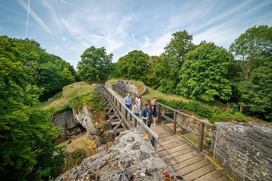 Ruines du château fort de Logne © Steve Collin