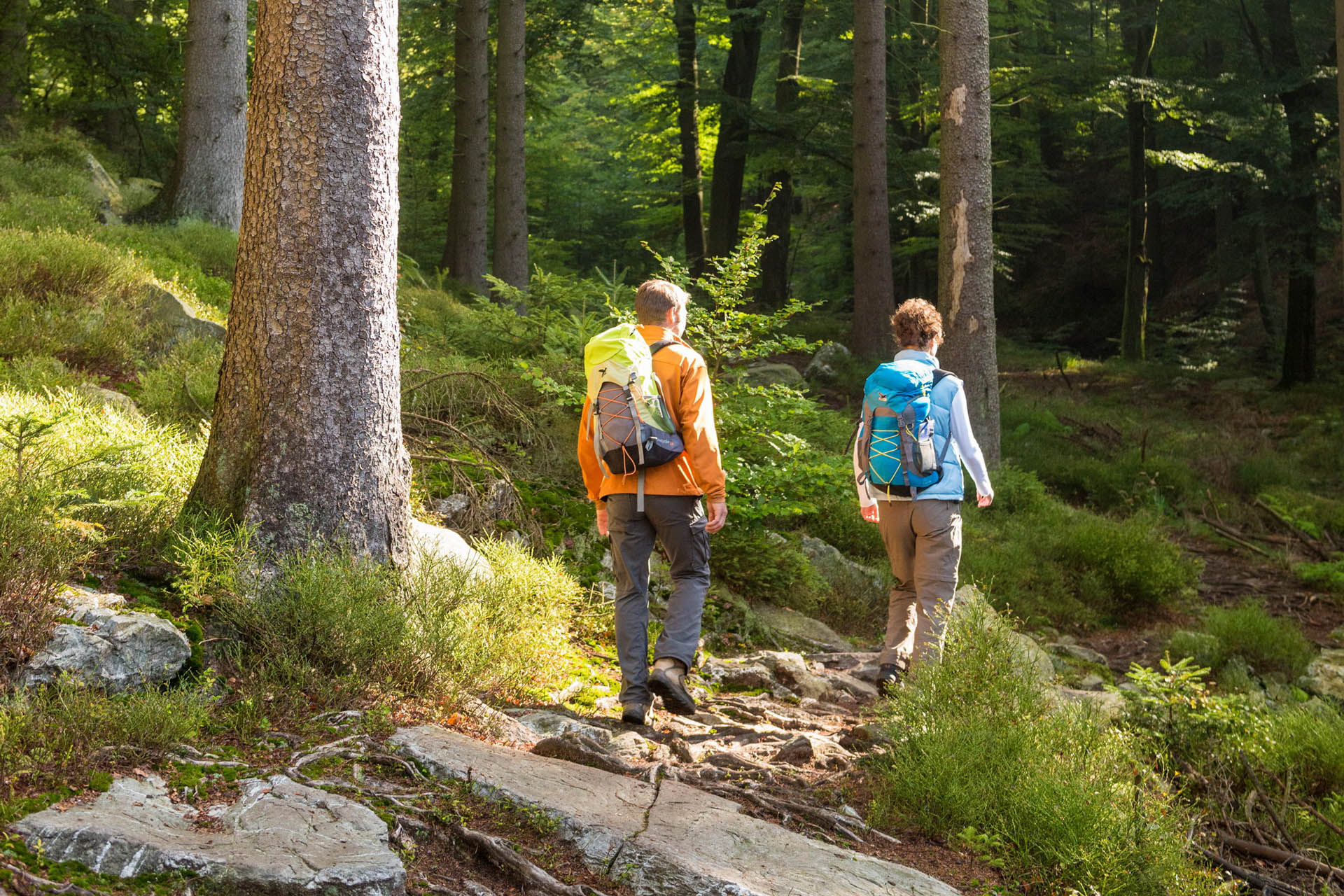 Rando-M - Projet Interreg